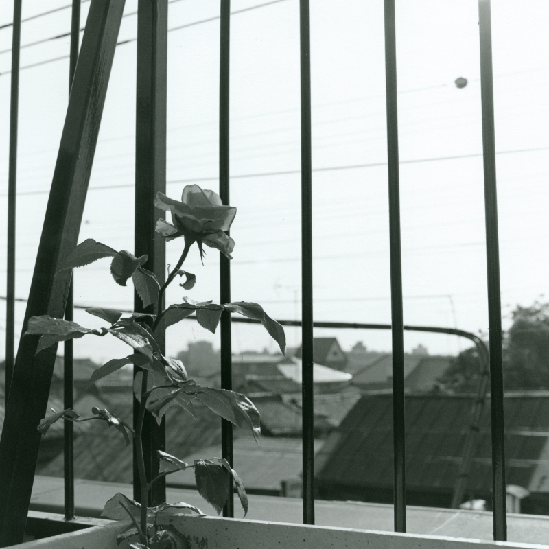 オンライン写真展